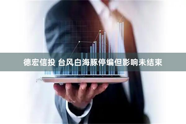 德宏信投 台风白海豚停编但影响未结束